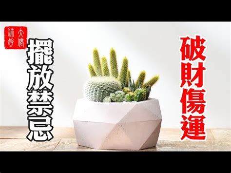 仙人掌放辦公室|戴尾戒也防不了！4個讓你狂招小人的辦公桌風水，養。